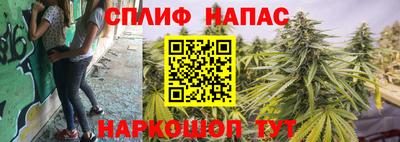 дживик Дмитров