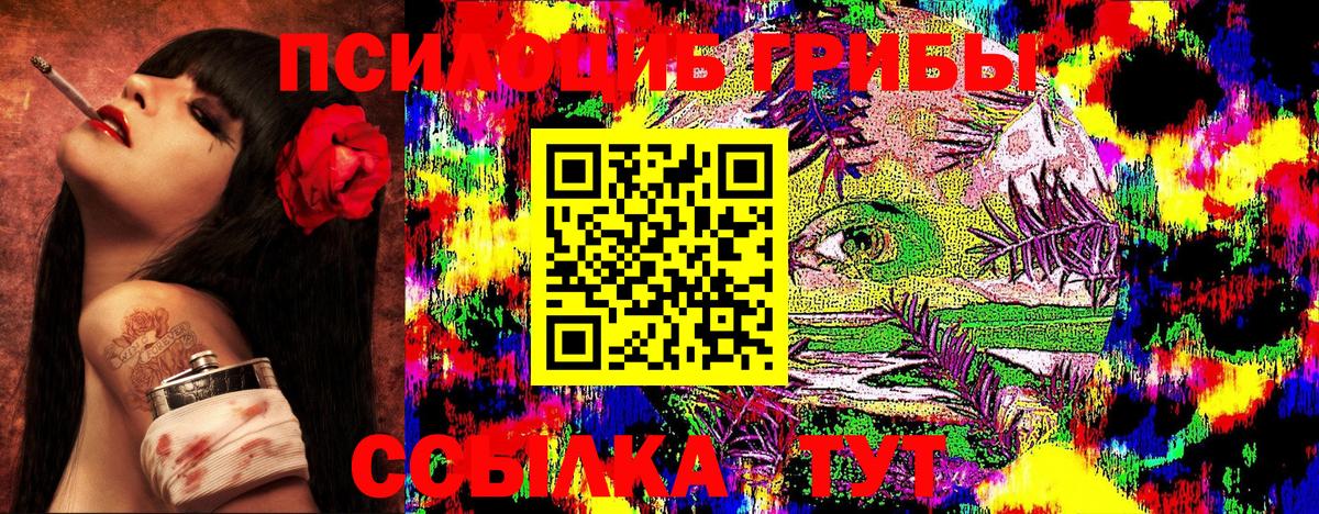 Псилоцибиновые грибы GOLDEN TEACHER  Вход с VPN  Бор  Псилоцибиновые грибы GOLDEN TEACHER 